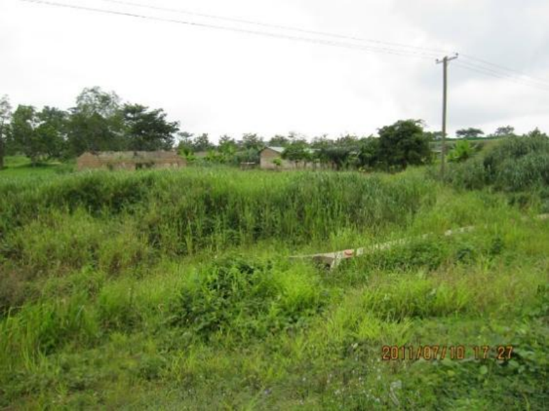 1760489033421751QcJw.png 图片43.png