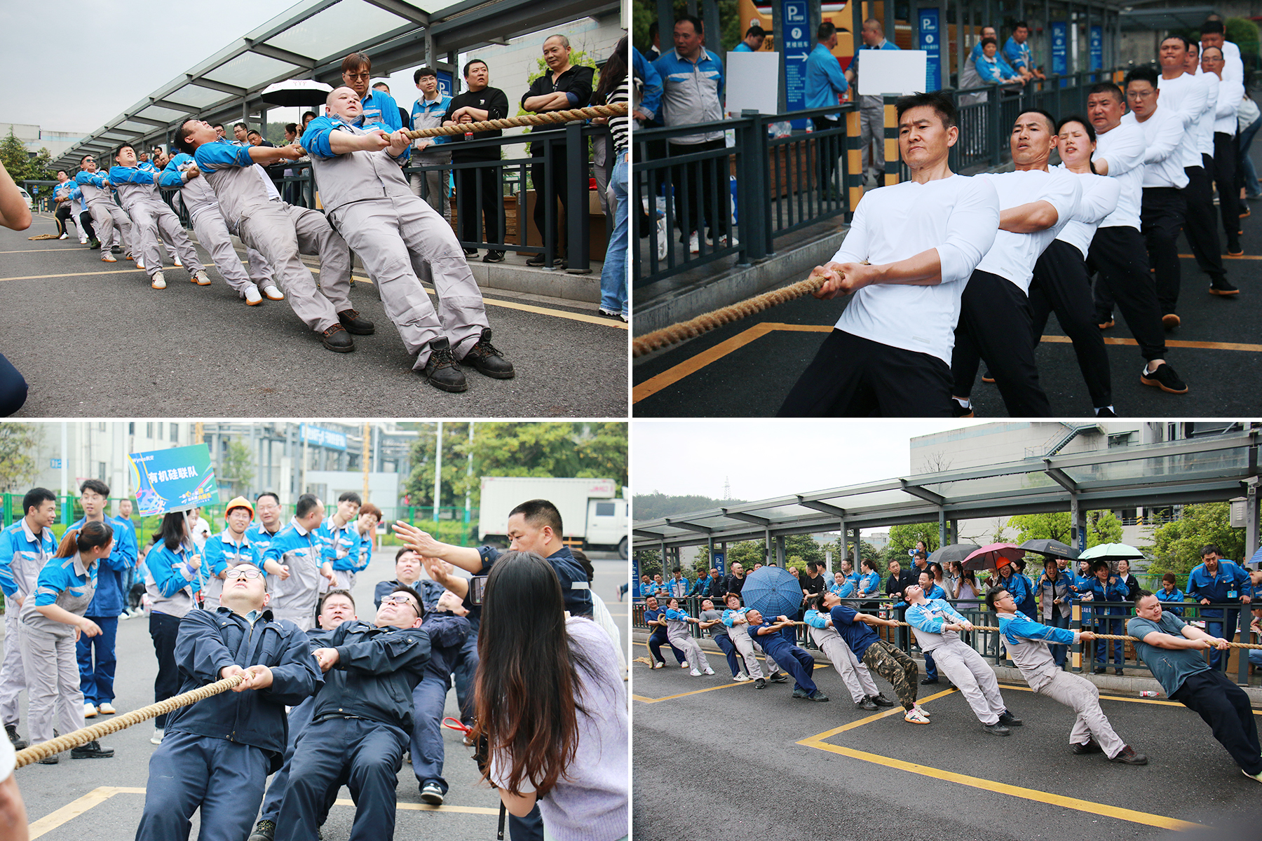 1730708405411336Y6yO.jpg 1730708405411336Y6yO.jpg