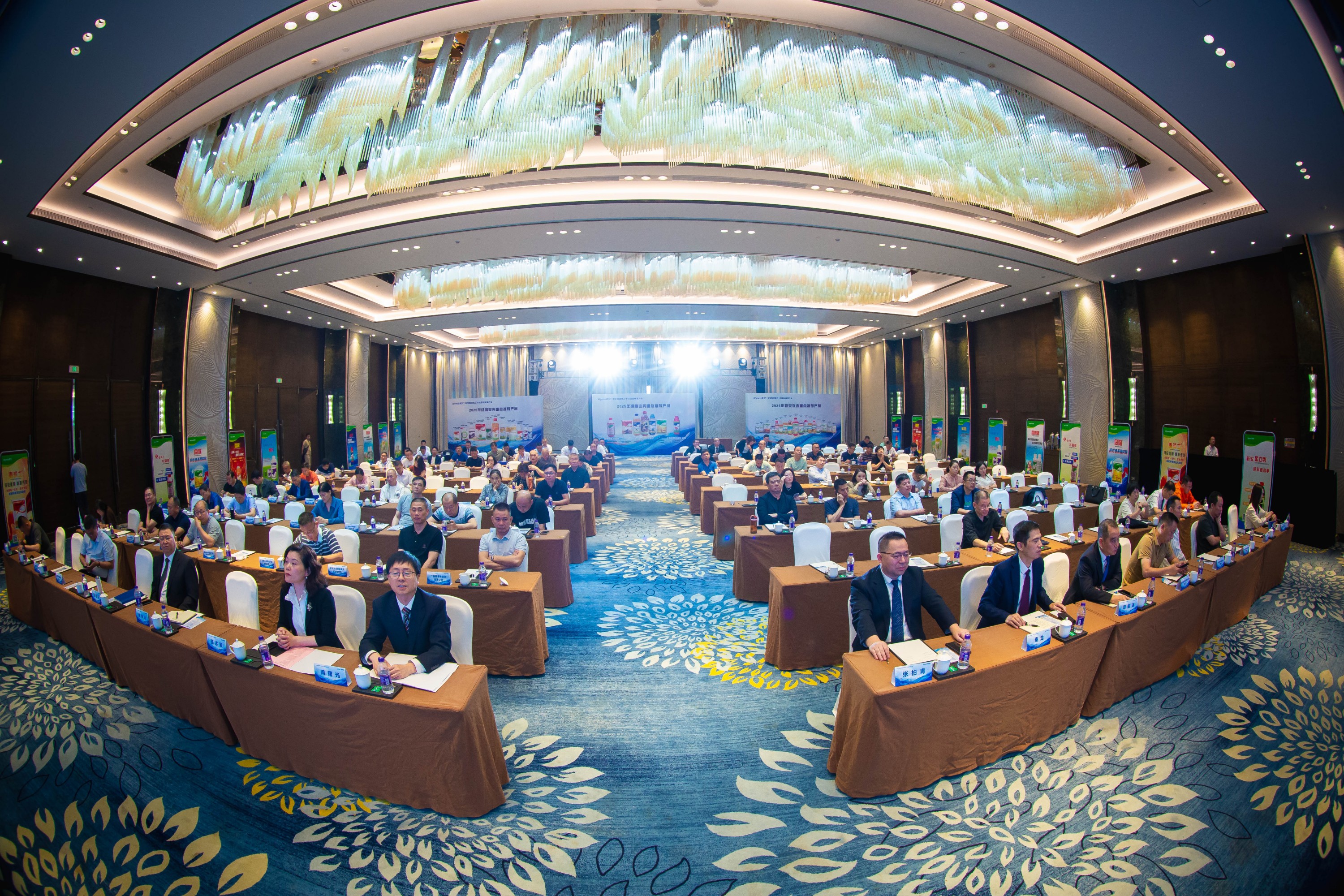 1734315349878676pRyz.jpg 1734315349878676pRyz.jpg